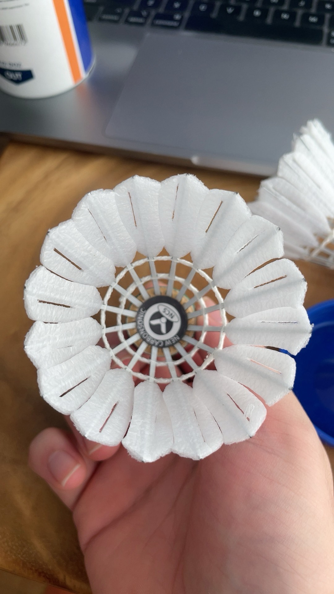 利物浦的后 利物浦的后